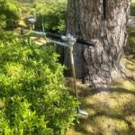 松枯れ予防対策（松くい虫予防対策）　奈良市